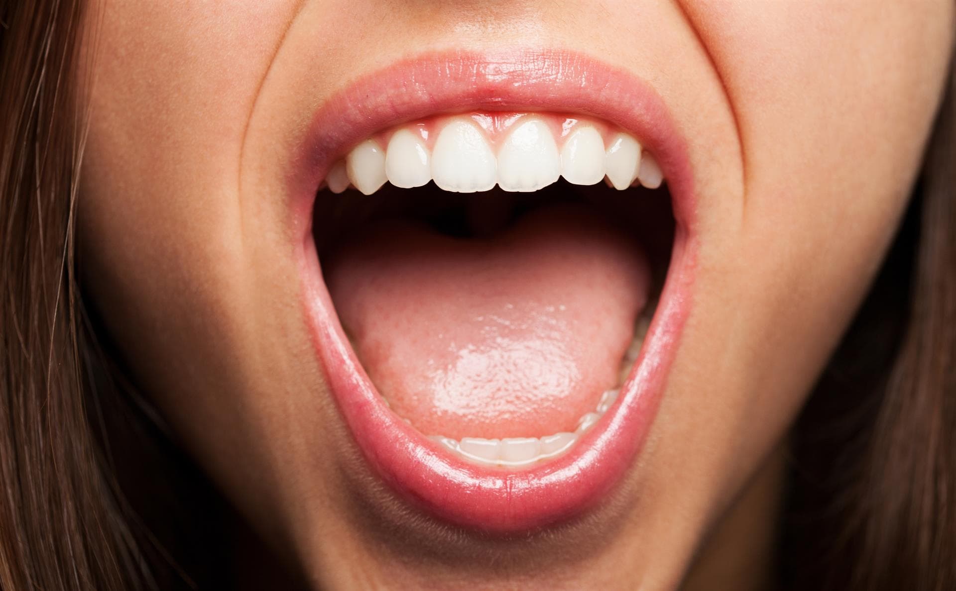  ¿Cómo es nuestra boca y cómo podemos cuidarla?